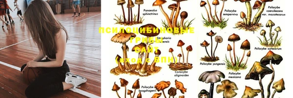 тгк Верхнеуральск